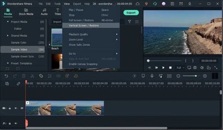 Can you download InShot on PC?