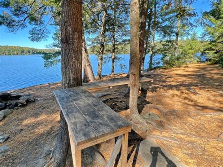 Can you drink the water in Algonquin Park?