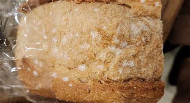 Can you eat moldy sourdough?