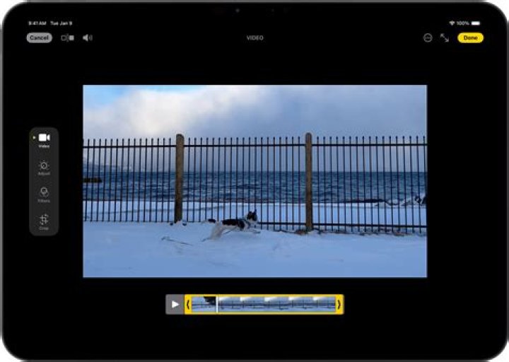 Can you edit GoPro videos on iPad pro?