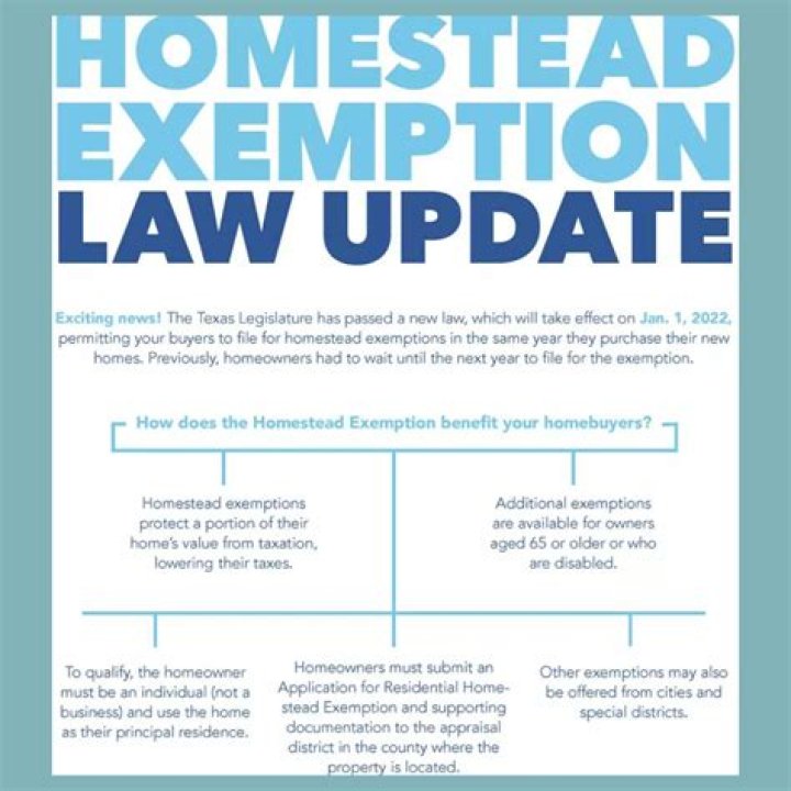 Can you file for homestead exemption online?