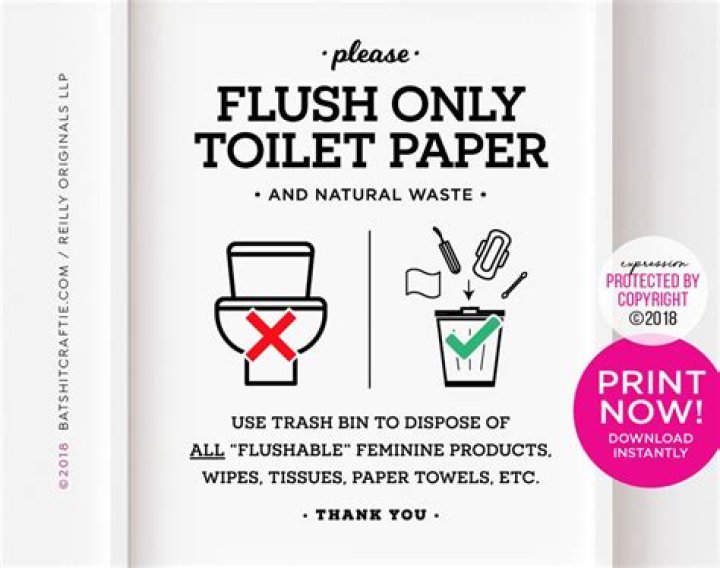 Can you flush toilet paper in Honduras?