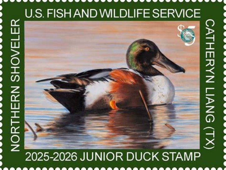 Can you get a duck stamp online?