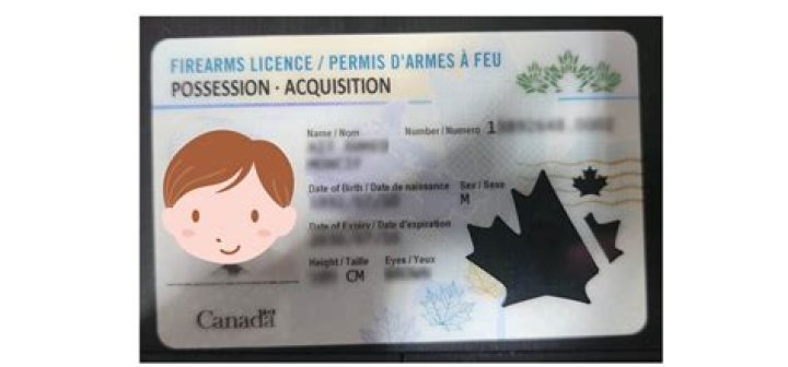Can you get a gun license online in Ontario?