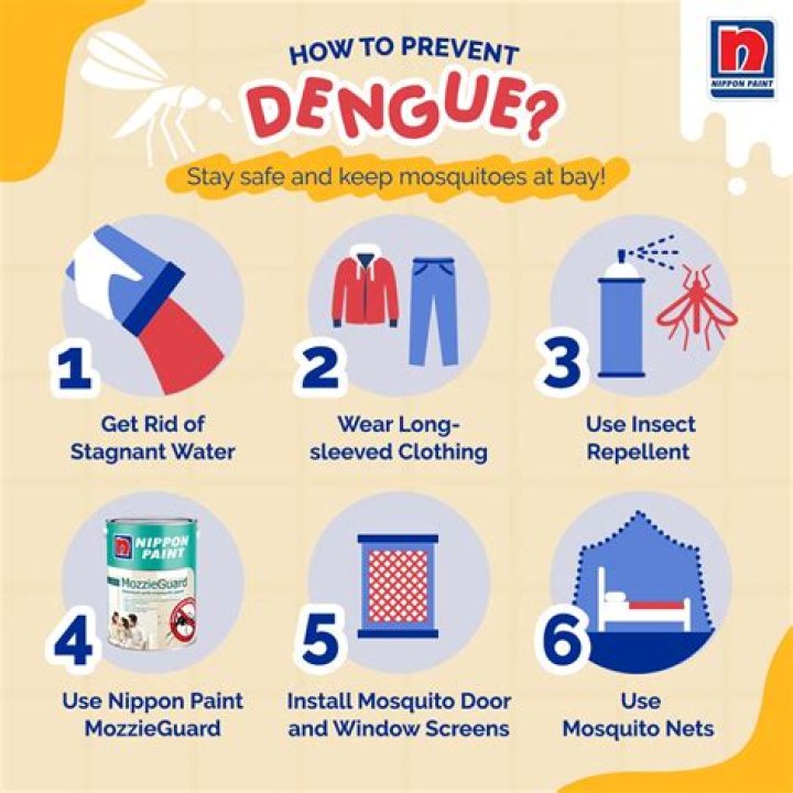 Can you get dengue 4 times?