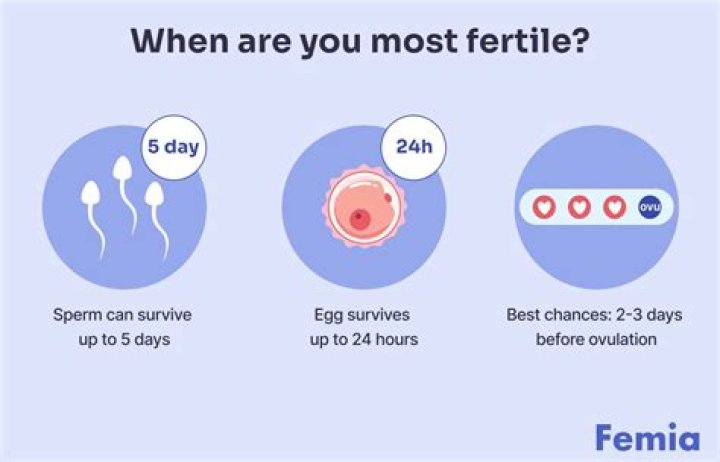 Can you get pregnant while taking Esmya?