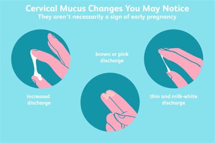 Can you get pregnant without much cervical mucus?