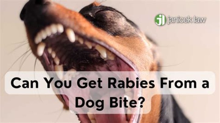 Can you get sepsis from dog bite?