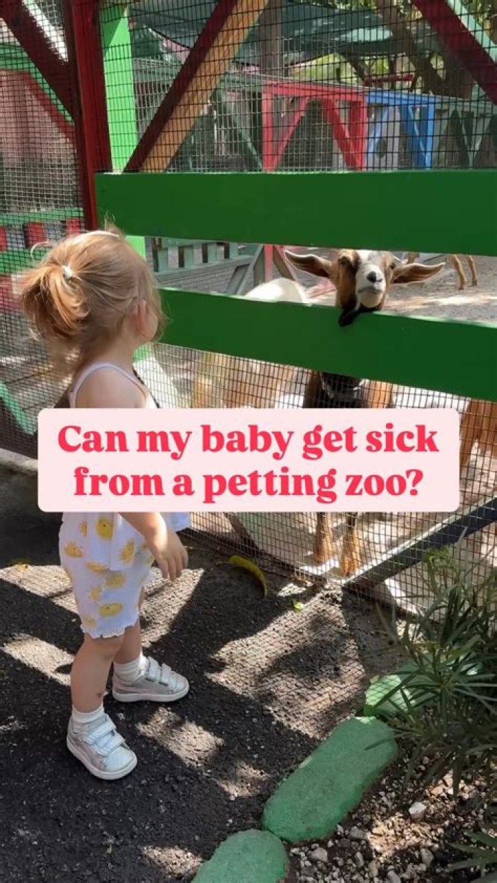 Can you get sick from a petting zoo?
