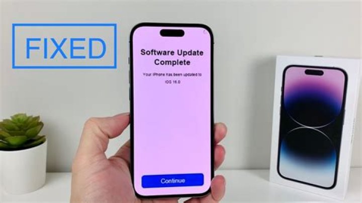 Can you go back to old Apple software?