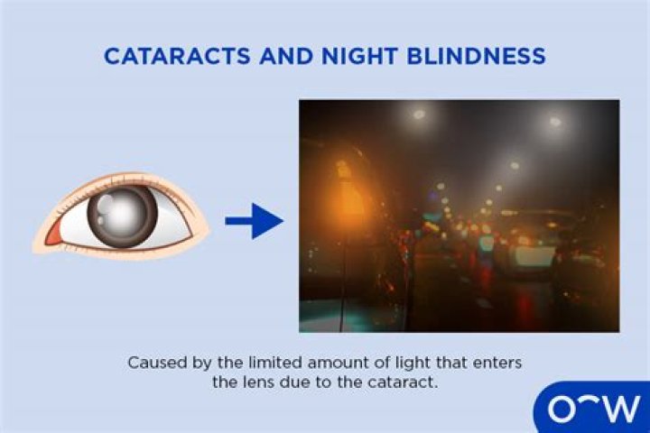 Can you go blind if you stay in the dark too long?