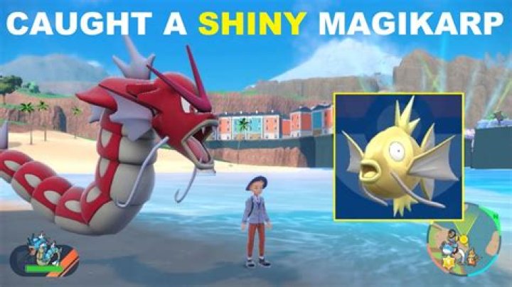 Can you hatch a shiny magikarp?