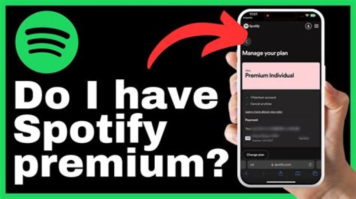 Can you have multiple accounts with Spotify Premium?