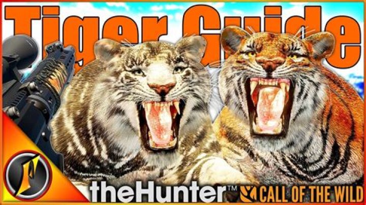 Can you hunt tigers in Texas?