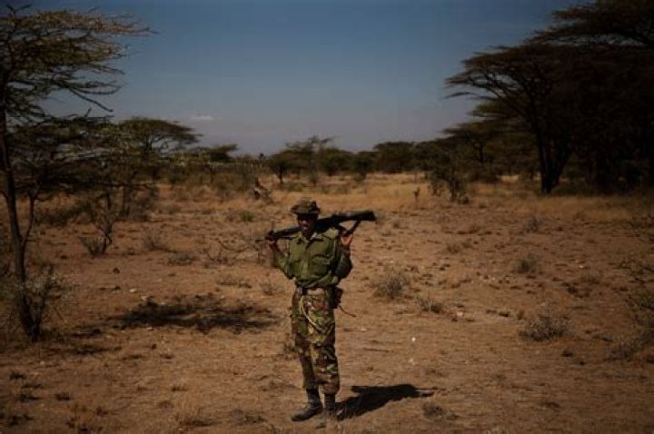 Can you kill poachers in Kenya?