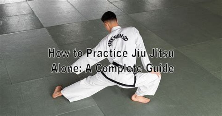 Can you learn Jiu Jitsu alone?