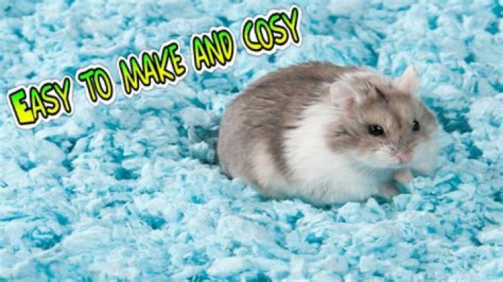 Can you make hamster bedding?
