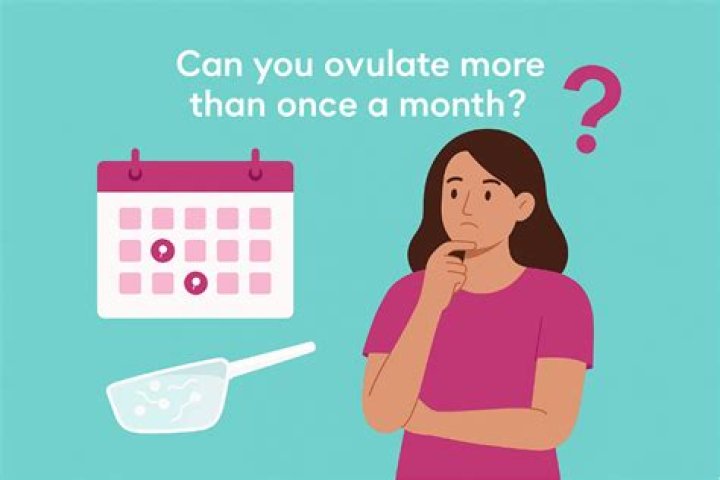 Can you ovulate more than once a month?