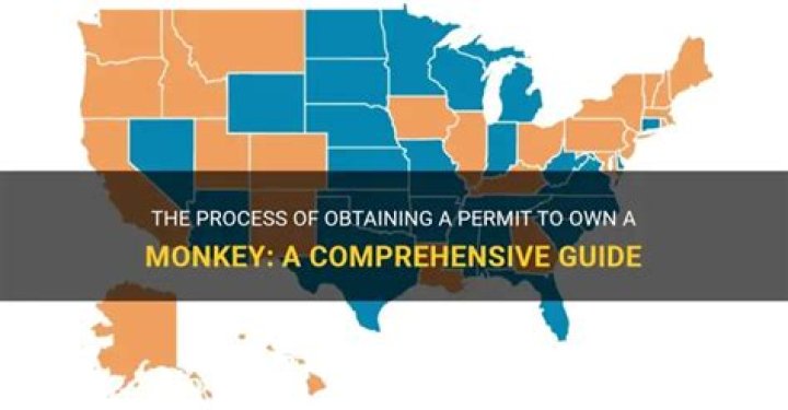 Can you own a monkey in Minnesota?