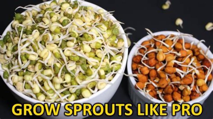 Can you prepare sprouts in advance?