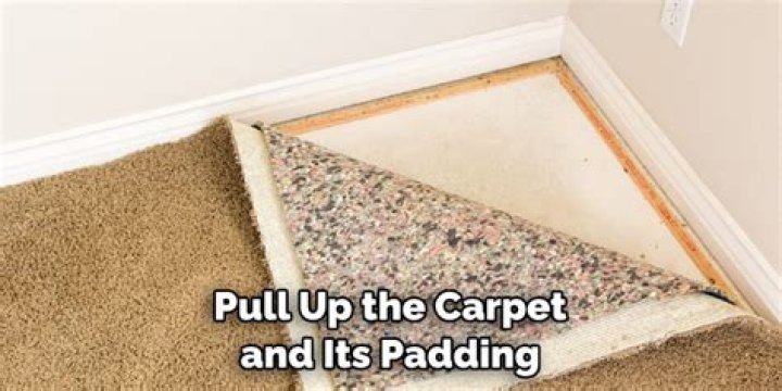 Can you pull up carpet and put back down?