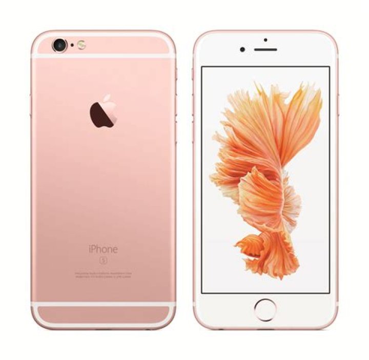 Can you put a 6S Plus screen on a 6 Plus?
