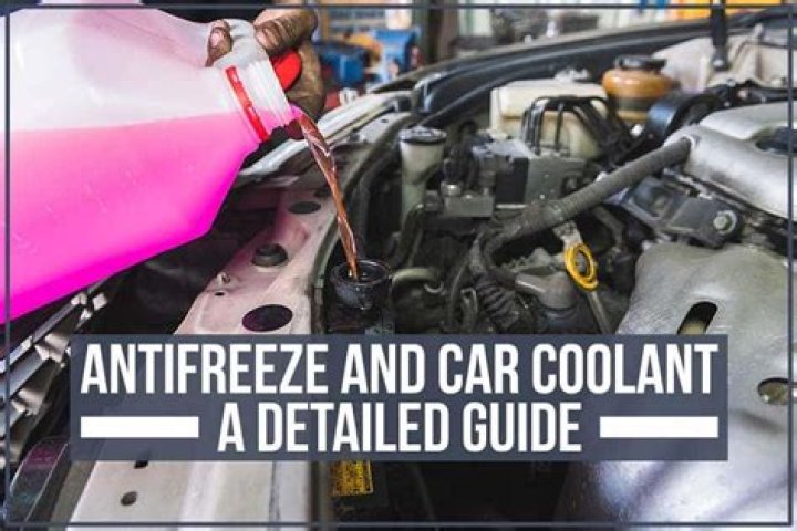 Can you put antifreeze in your car?