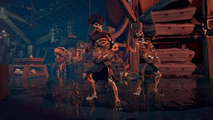 Can you put pets on your shoulder sea of thieves?