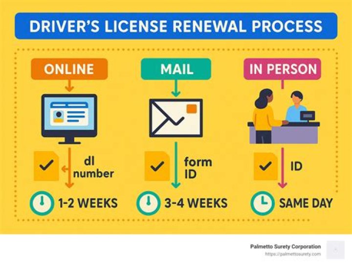 Can you renew your driver's license online in NL?