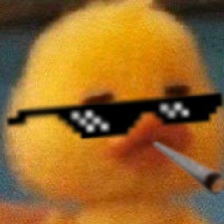Can you save images from discord?