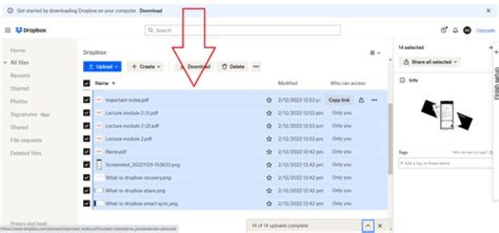 Can you see how many downloads on Dropbox?