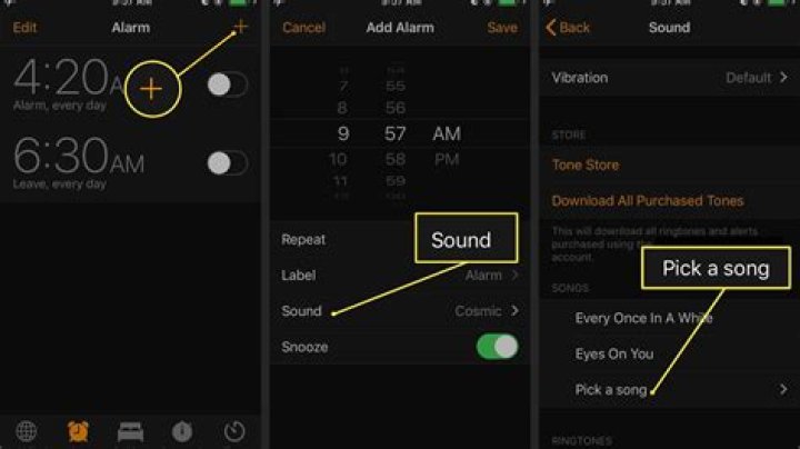 Can you set an alarm with Spotify Apple?