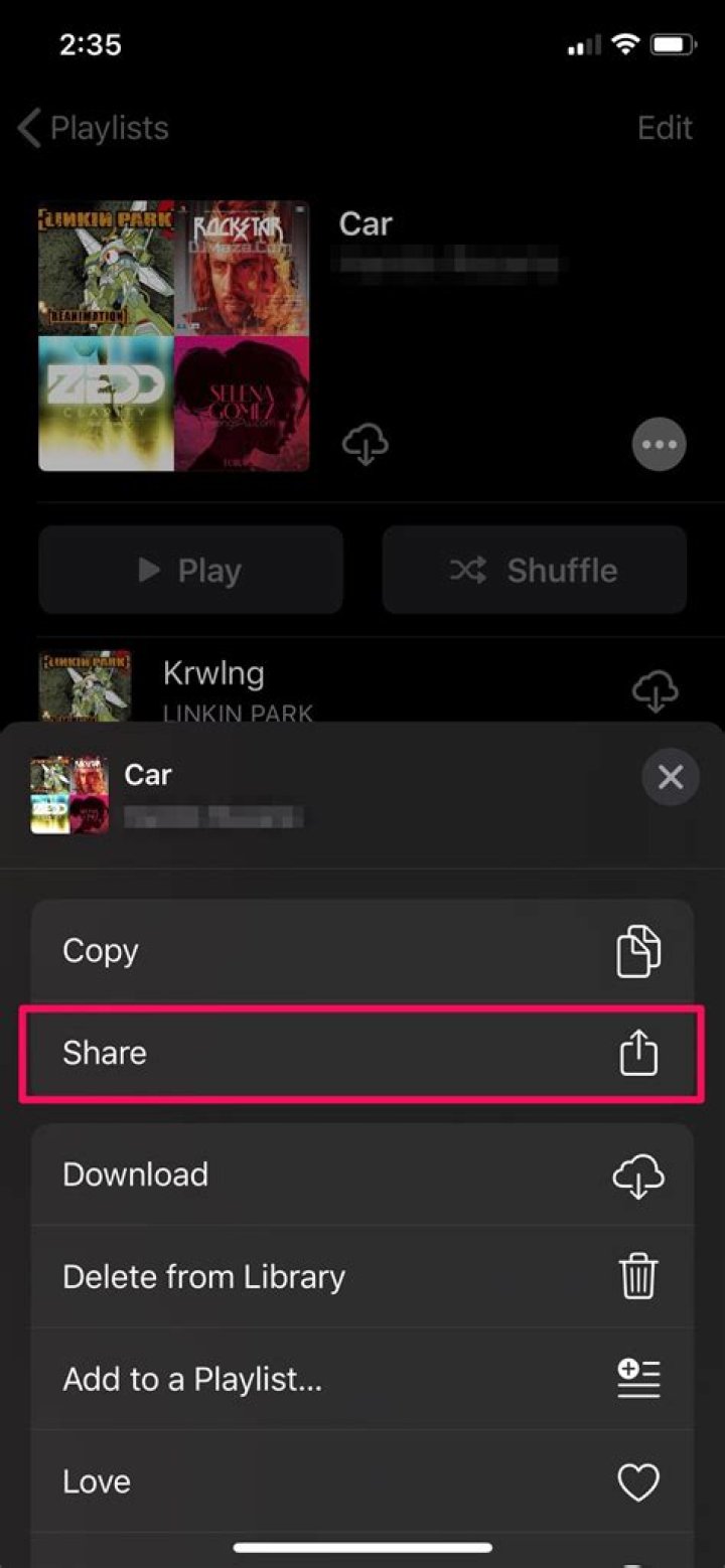 Can you share playlists?