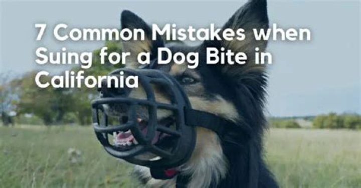Can you sue for a minor dog bite in California?
