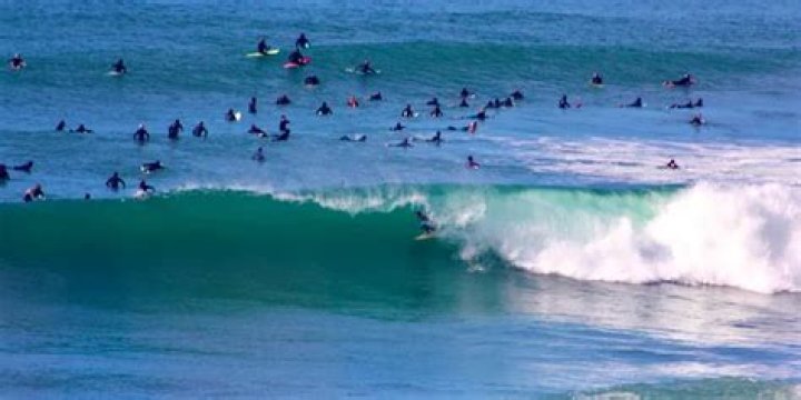 Can you swim at swamis?