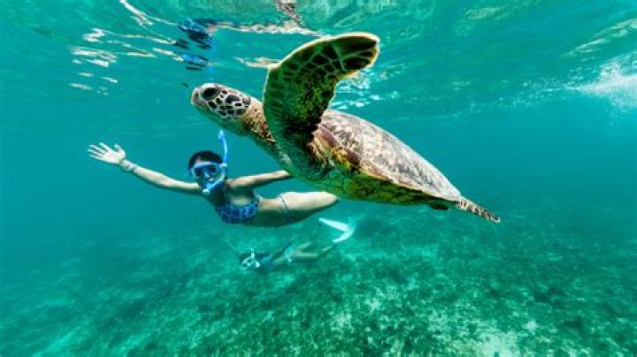 Can you swim in the sea in Zanzibar?