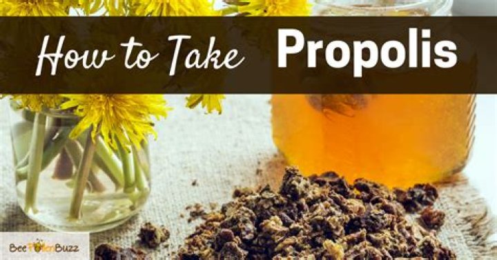 Can you take bee propolis everyday?