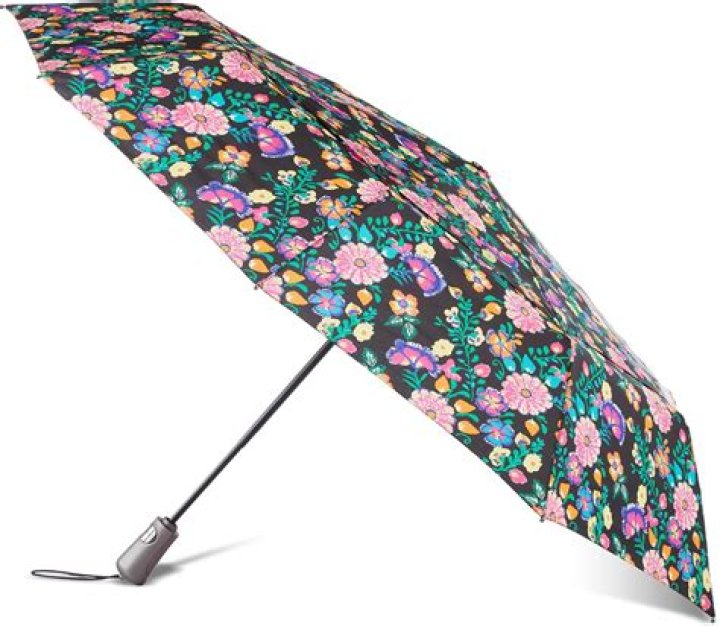 Can you travel with umbrellas?