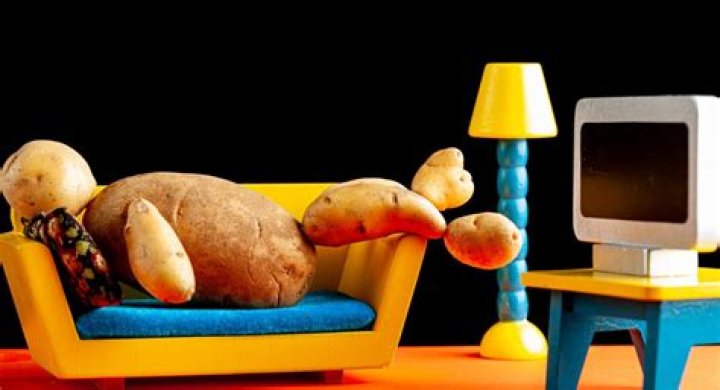 Can you turn your dog into a couch potato?