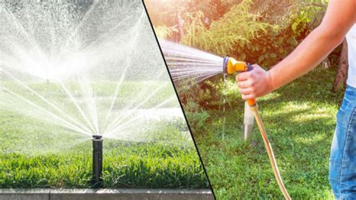 Can you use a hose to water plants?