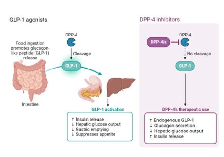 Can you use DPP4 with GLP-1 together?