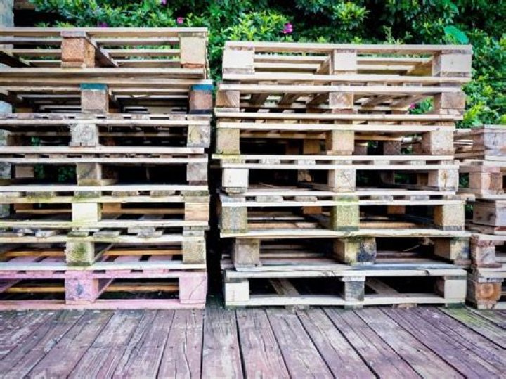 Can you use pallets for firewood?