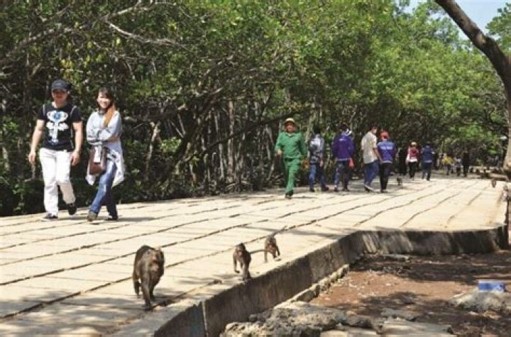 Can you visit Monkey Island?