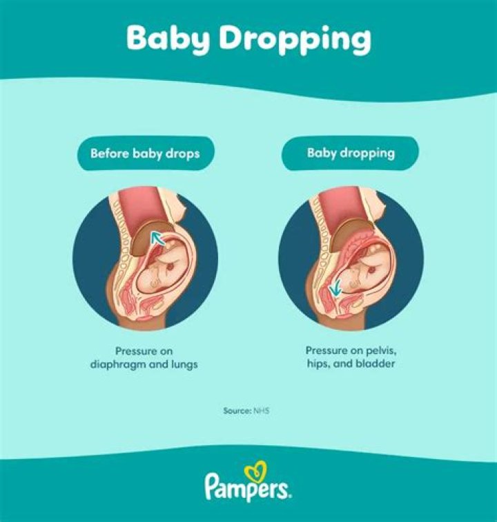 Can your baby drop at 36 weeks?