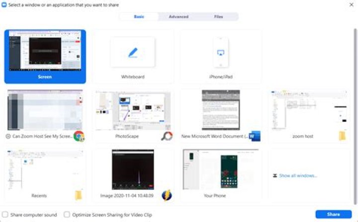 Can zoom host see your IP address?