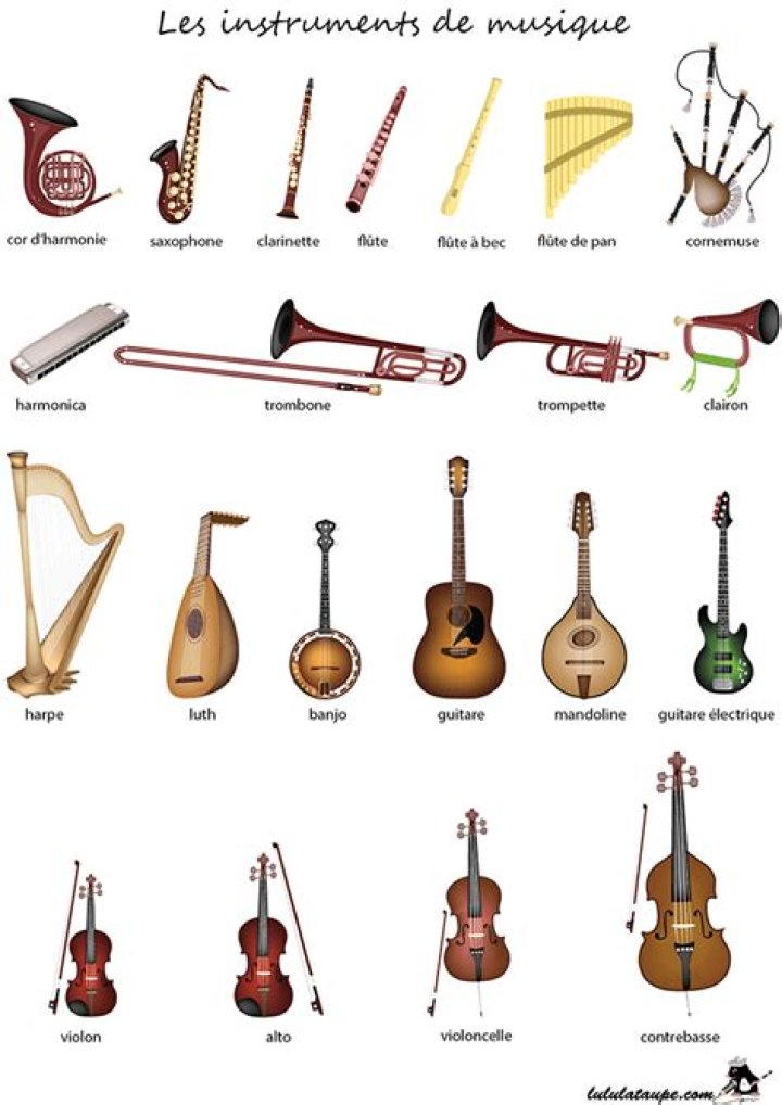 Comment s'appellent les instruments de musique ?