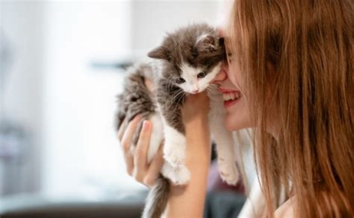 Comment savoir si mon chat est heureux avec moi ?