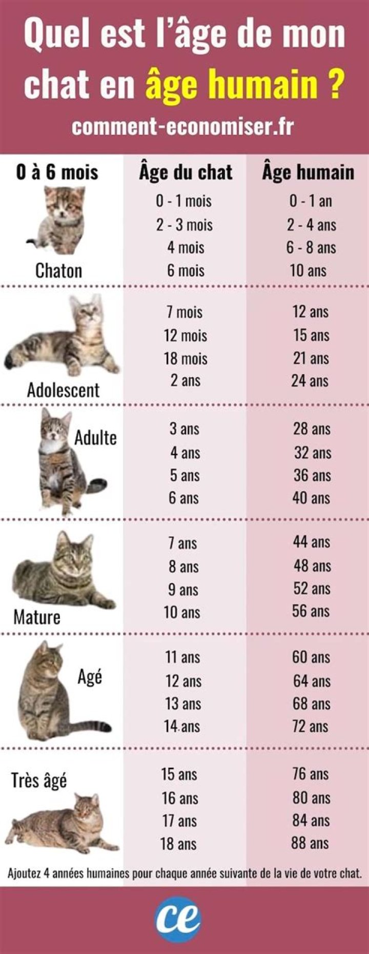 Comment savoir si un chat est vieux ?