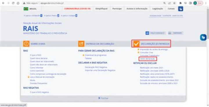 Como baixar a RAIS 2018?