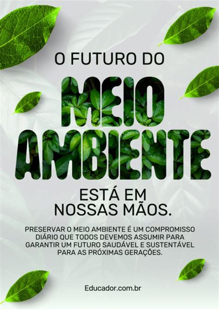 Como escrever um texto sobre o meio ambiente?